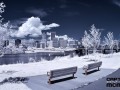 portland ir 2