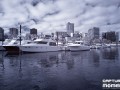 portland ir 3