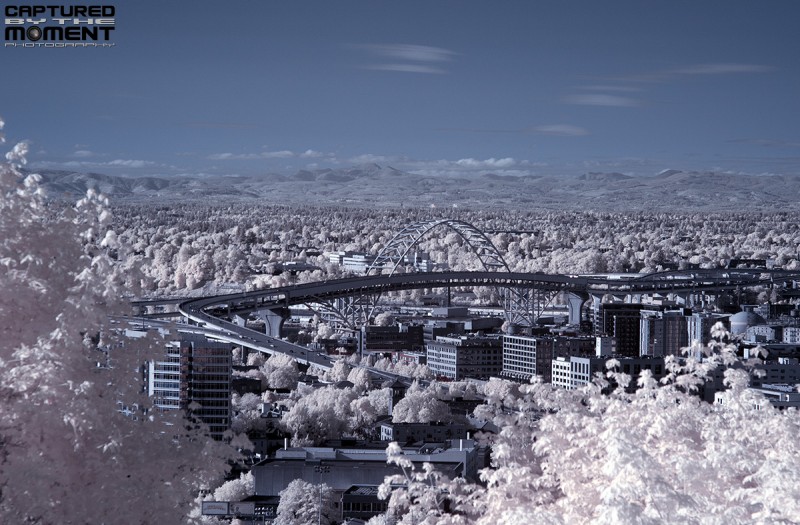 portland ir 4