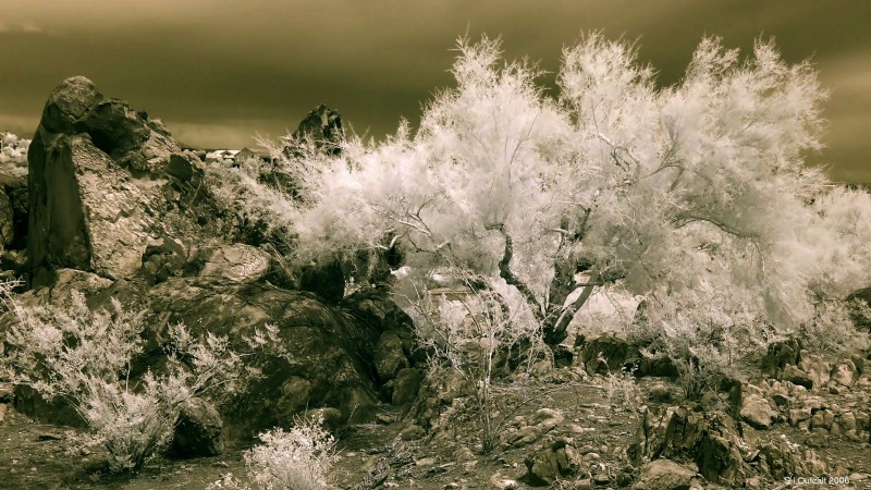 IR RockTree