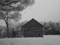 Red Barn Alone